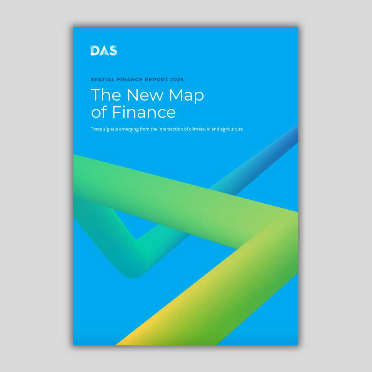 Report cover Spatial Finance 2025